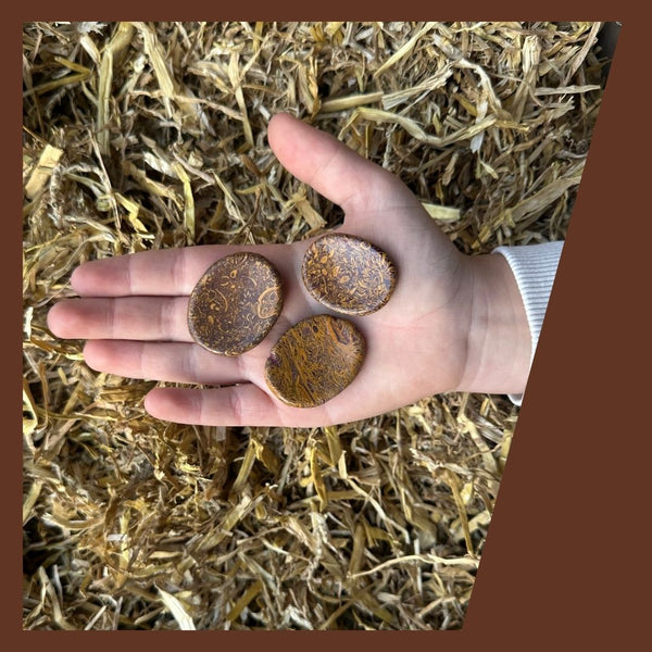 Rune Pebble | Toemba