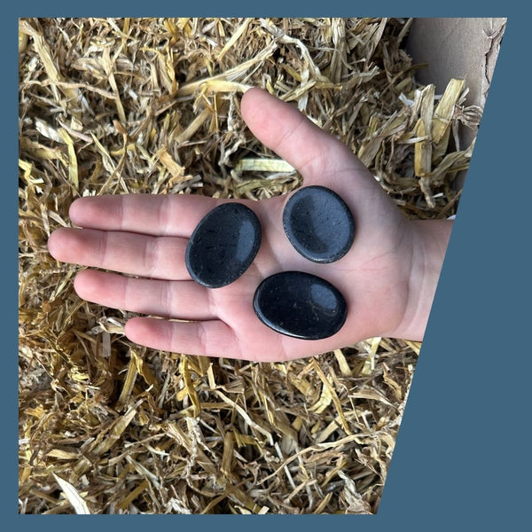 Shadow Shield | Toemba