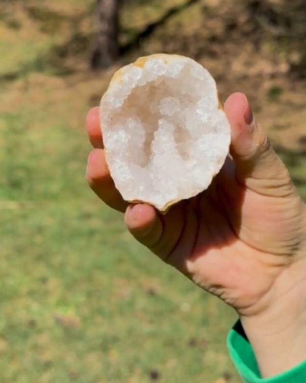 Klasse(n)-Tasche | Toemba mit kostenloser Bonk Geode