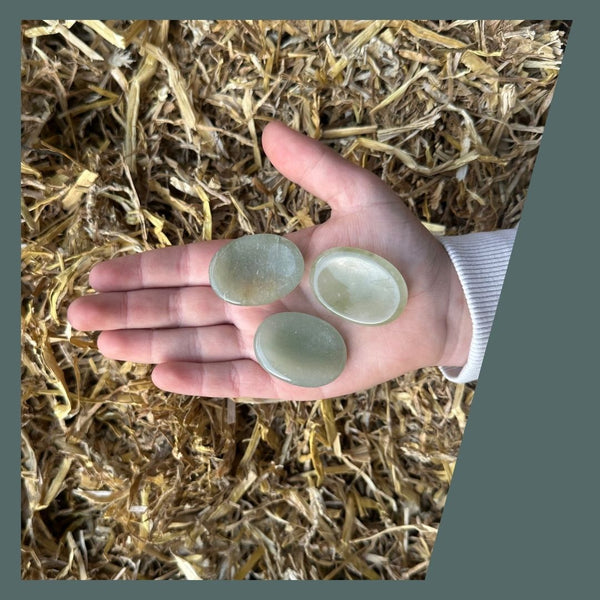 Little Explorer | Toemba