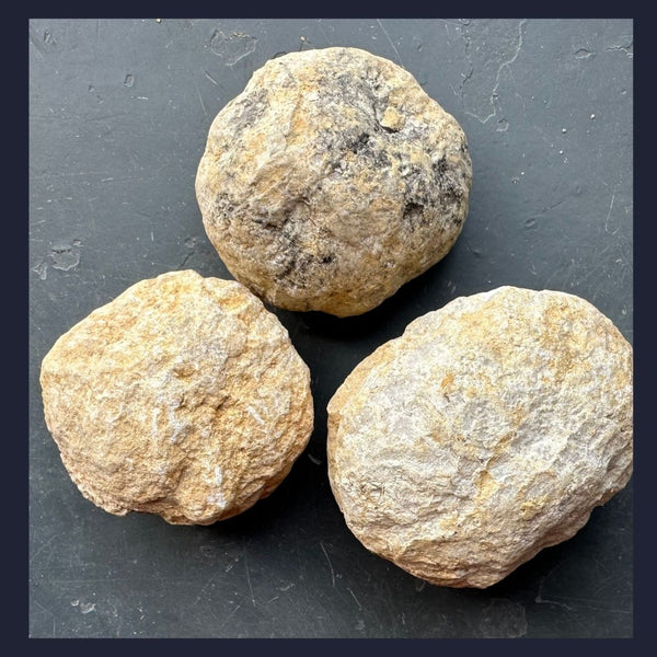 Bonkers zak | Toemba