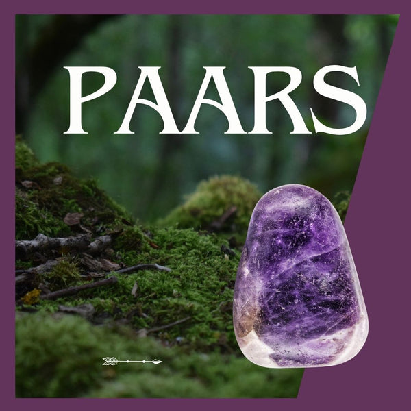 Paarse Broekzakstenen | Toemba