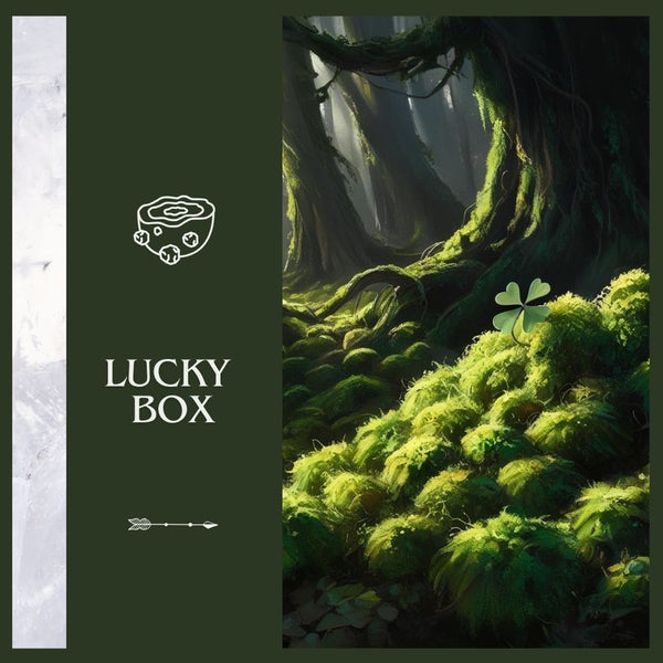 Lucky Box | Toemba