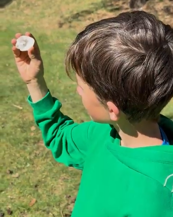 Klasse(n)-Tasche | Toemba mit kostenloser Bonk Geode