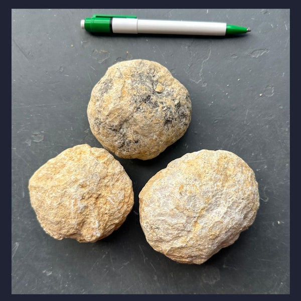 Bonkers zak | Toemba