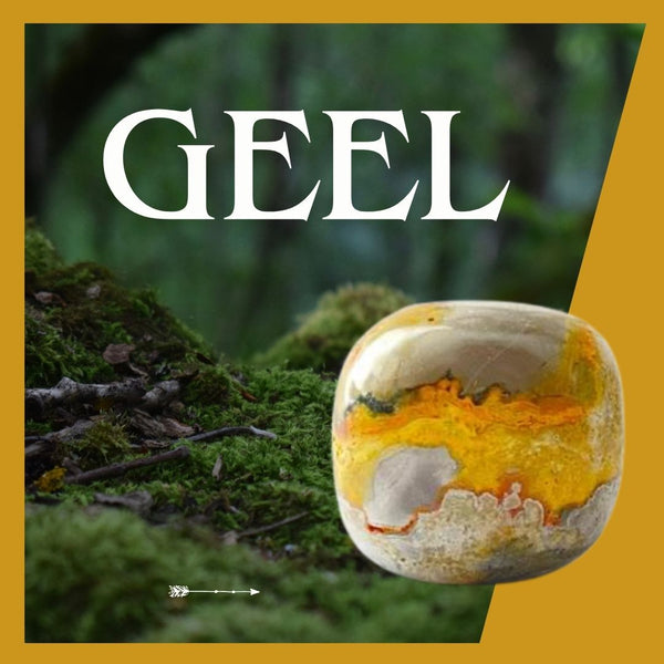Gele Broekzakstenen | Toemba