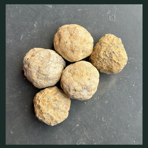 Ein toller Kerl | Toemba