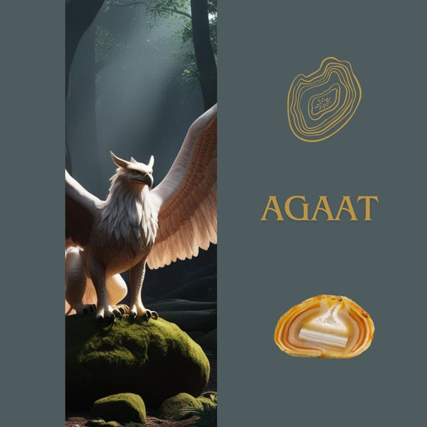 Griffon’s Shield | Toemba