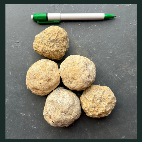 Ein toller Kerl | Toemba