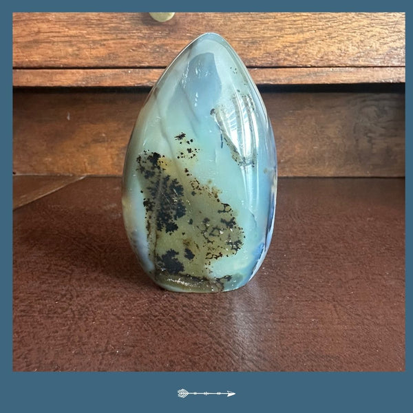 Agaat Dendriet E24 | Toemba