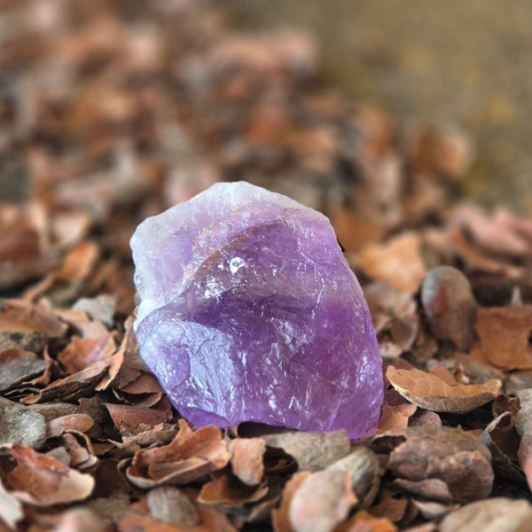 Zauberer-Amulett | Toemba