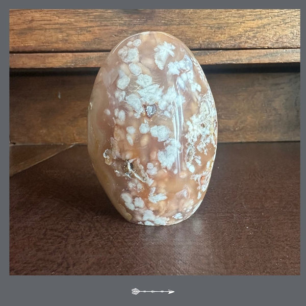 Bloem Agaat V9 | Toemba