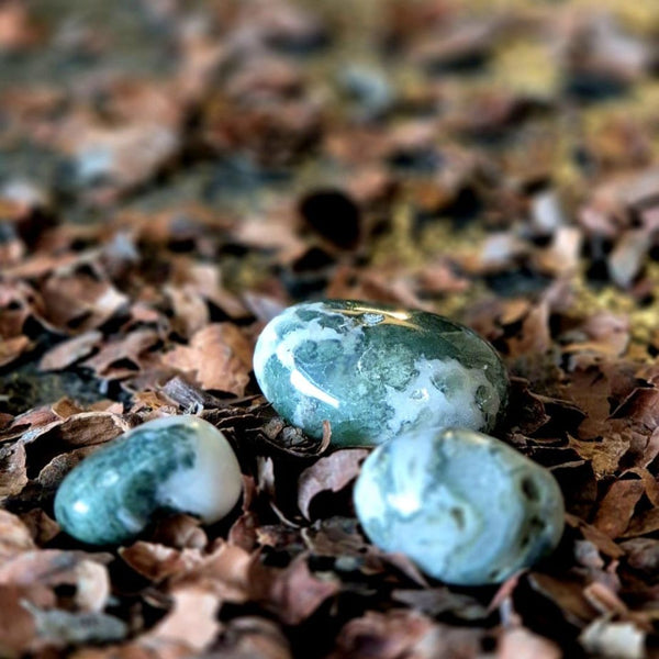 Flüstern der Ents | Toemba