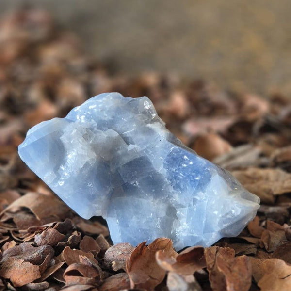 Glühen des Riesen | Toemba