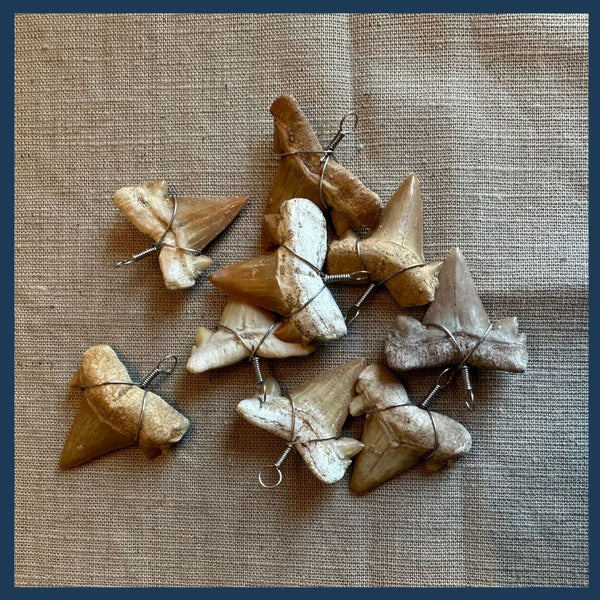 Kauen Sie darauf herum! – Haifischzahn-Anhänger | Tumba