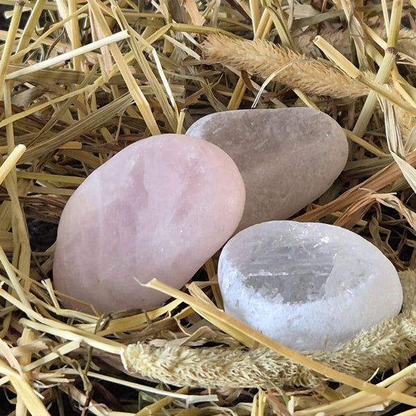 Dracheneier | Toemba