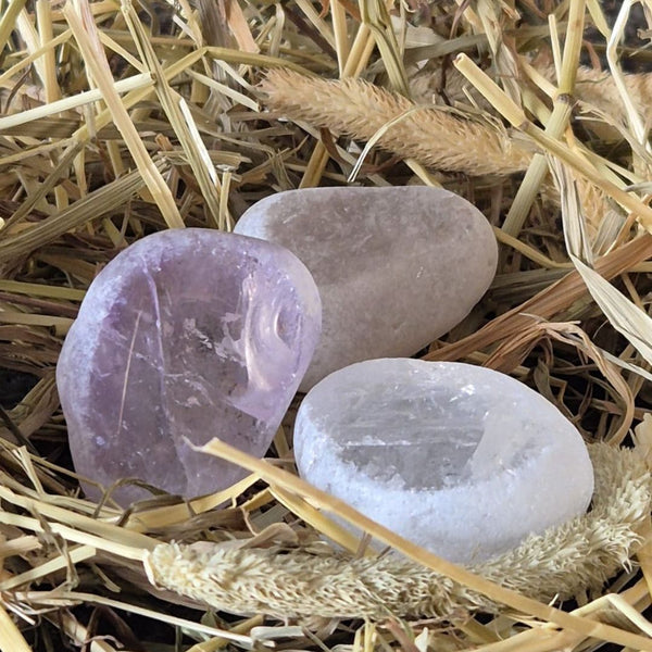 Dracheneier | Toemba