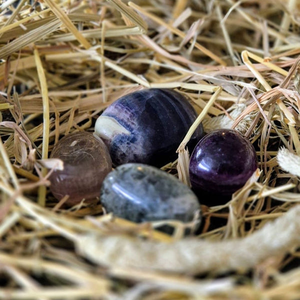 Pixie-Glimmer | Toemba