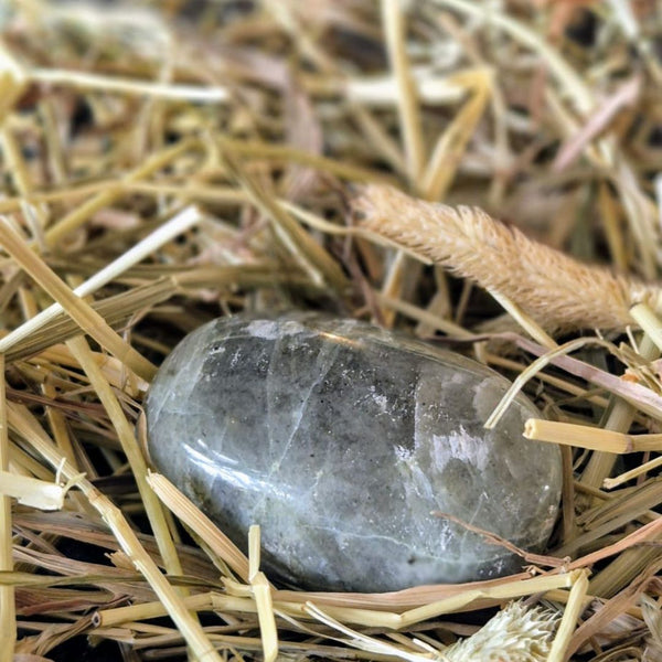 Pegasus-Mondstein | Toemba