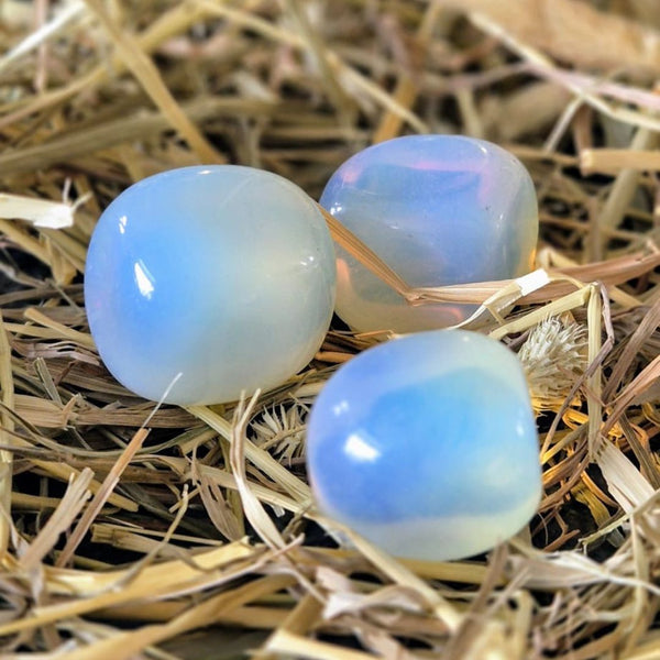 Einhornkacke | Toemba