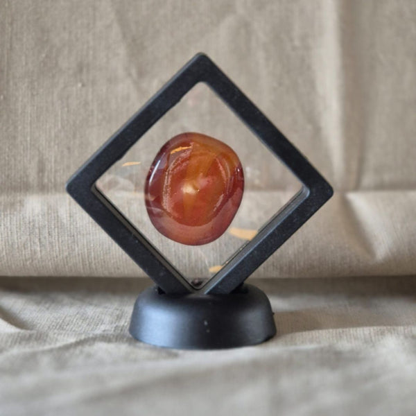 Öffnen Sie einfach ein Fenster | Toemba