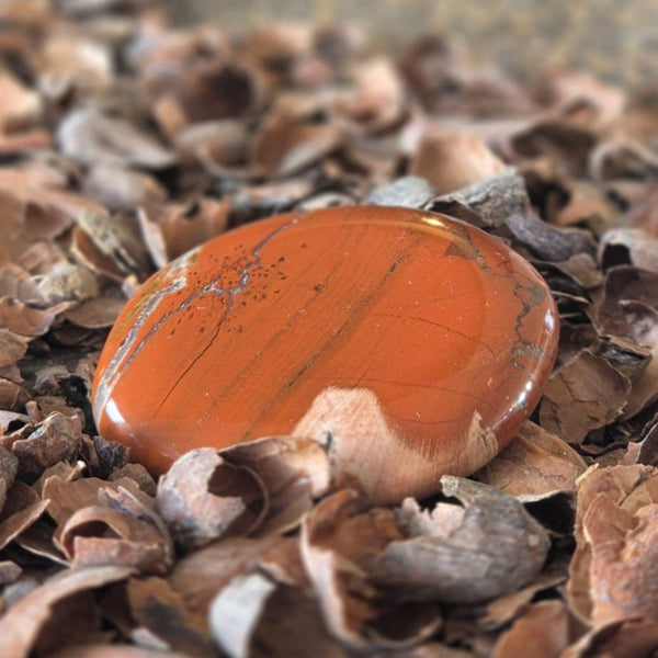 Zwerg Steinblut | Toemba