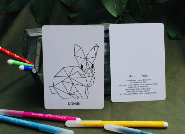 Totemdieren kaartendeck - Toemba