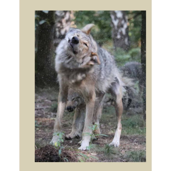 Time-out | Irene van Eijk