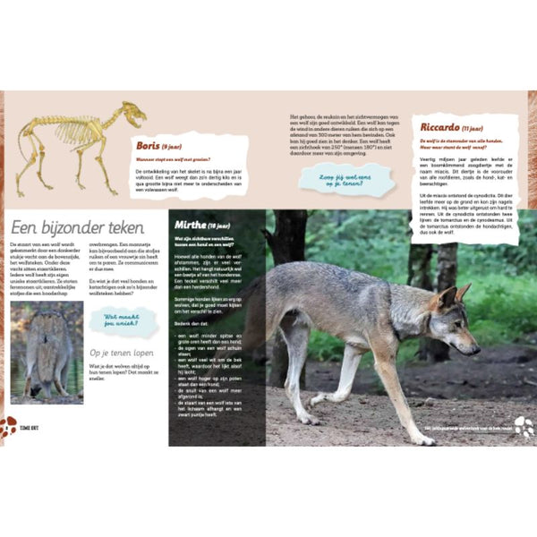 Time-out | Irene van Eijk