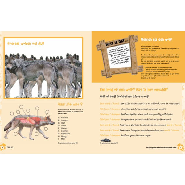 Time-out | Irene van Eijk