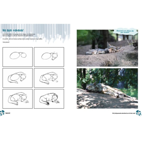 Time-out | Irene van Eijk