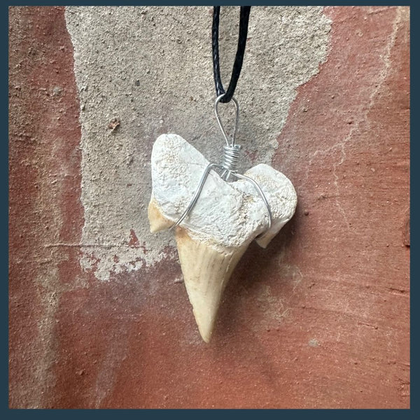 Kauen Sie darauf herum! – Haifischzahn-Anhänger | Tumba