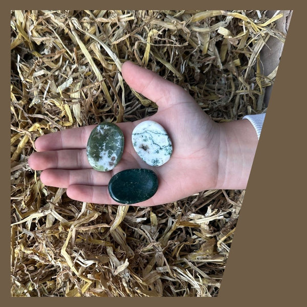 Forest Friend | Toemba