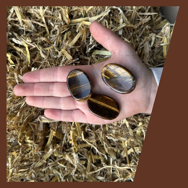 The Watcher | Toemba