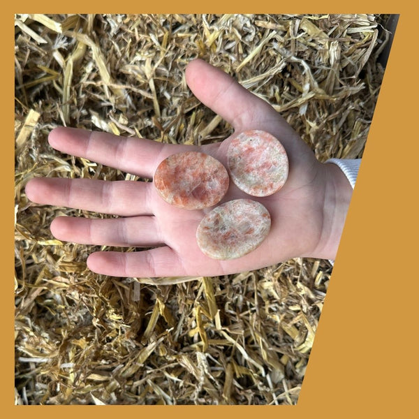 Sunny Spark | Toemba