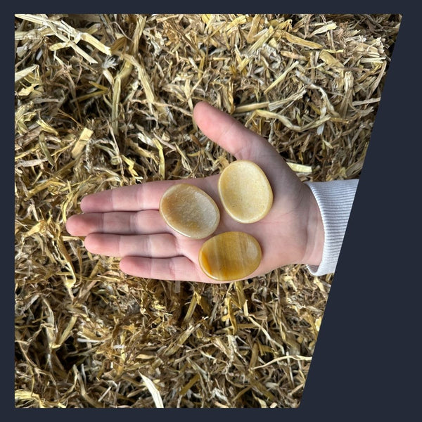 Brave Pebble | Toemba