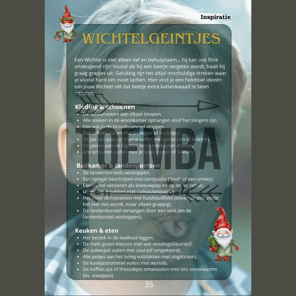 Wichtelgids E-Book | Toemba