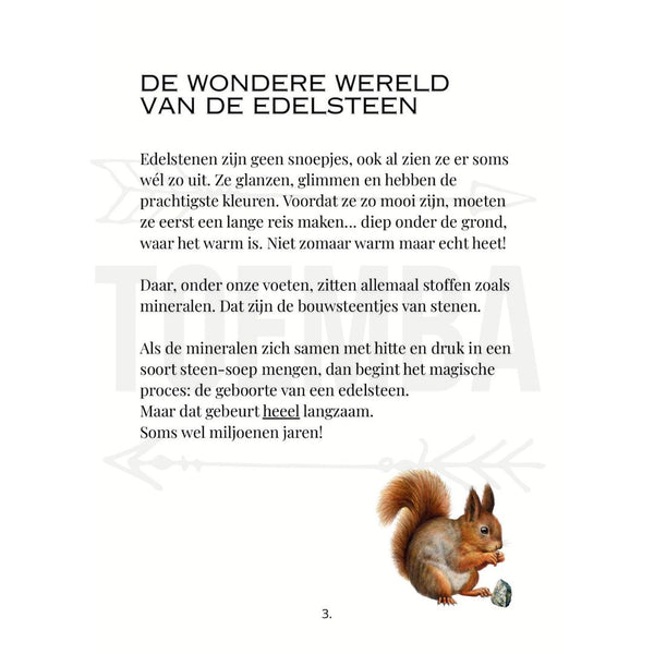 Sprachbox - Edelsteine ​​| Toemba