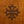 Ridderschild Occitaans Kruis – Rustiek | Kalid Medieval