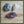 Ruwe edelstenen mix | C16