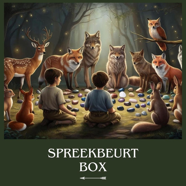 Sprachbox - Edelsteine ​​| Toemba