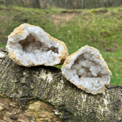 Bergkristal Geode om zelf te kraken. - Reus | 10-12 cm