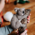 Slapende Koala | The Crafty Kit Company