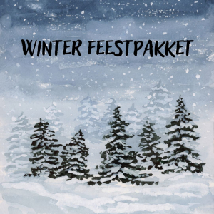 Winter Feestpakket Geode | Toemba